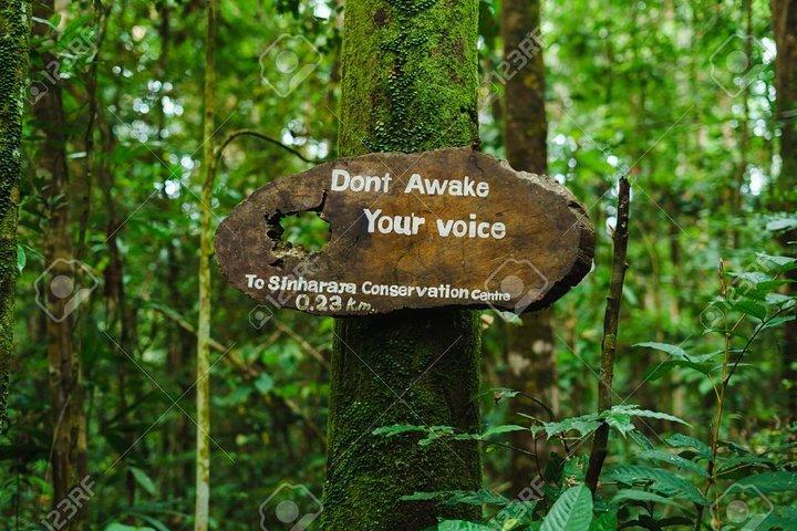 Sinharaja Rain Forest Guided Day Tour From Colombo and Negombo
