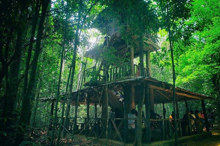 Day Trip to Kanneliya Rain Forest From Colombo