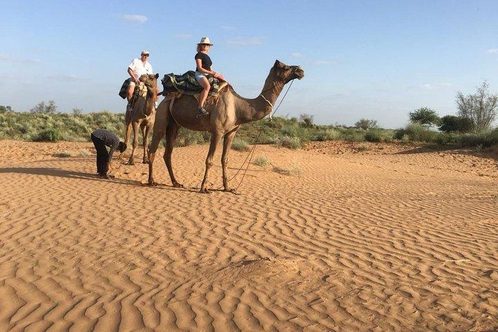 Jodhpur Camel Safari & Jeep Safari In Desert Jodhpur SR