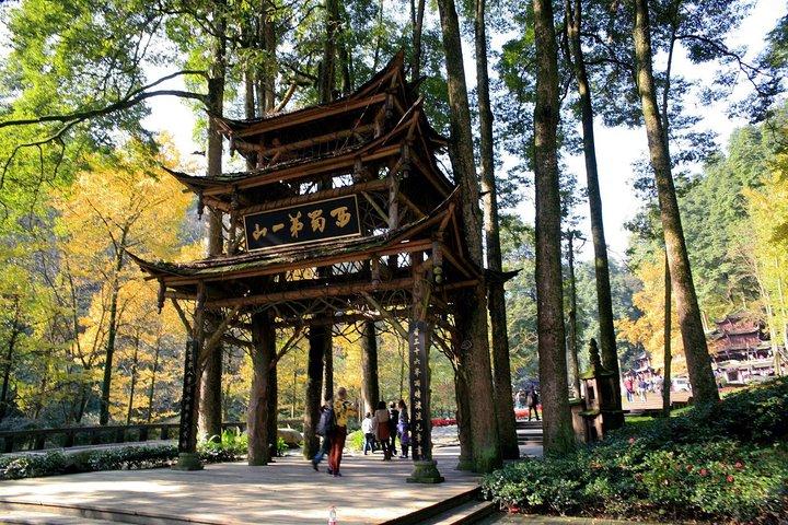 1-Day Mount Qingcheng and Dujiangyan Irrigation System Private Tour from Chengdu