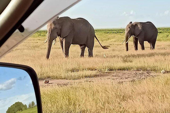 7 Days Salt-Lick safari