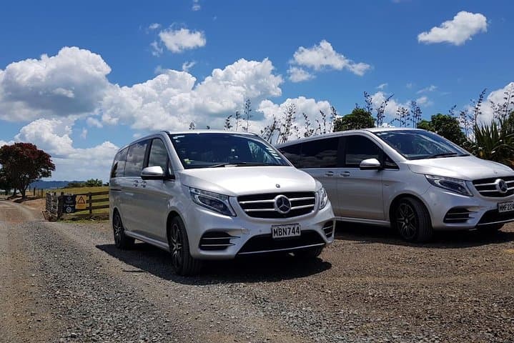 Auckland Airport to Hotel or Cruise Wharf - Private Transfers