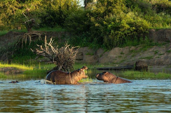 Sunset Cruise over Zambezi River from Victoria Falls