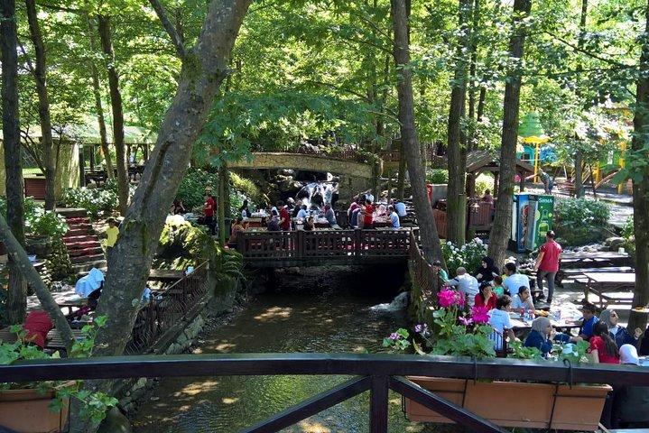 Daily Sapanca Lake + Maşukiye Tour by Private Minivan (Day Trip from Istanbul)