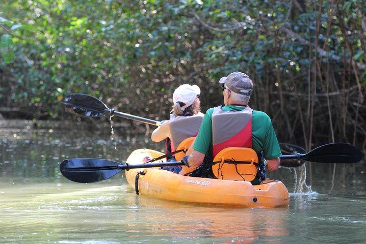 Damas Island Kayaking Mangrove Tour from Manuel Antonio