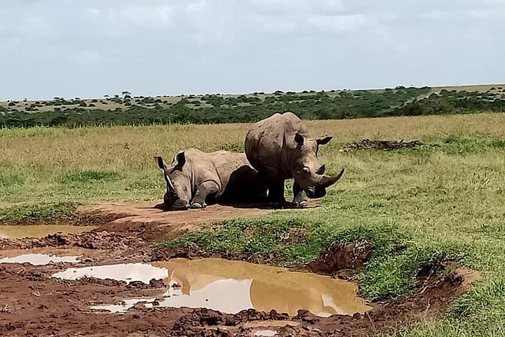 5 Days Olpejeta Conservancy & Solio Rhino sanctuary