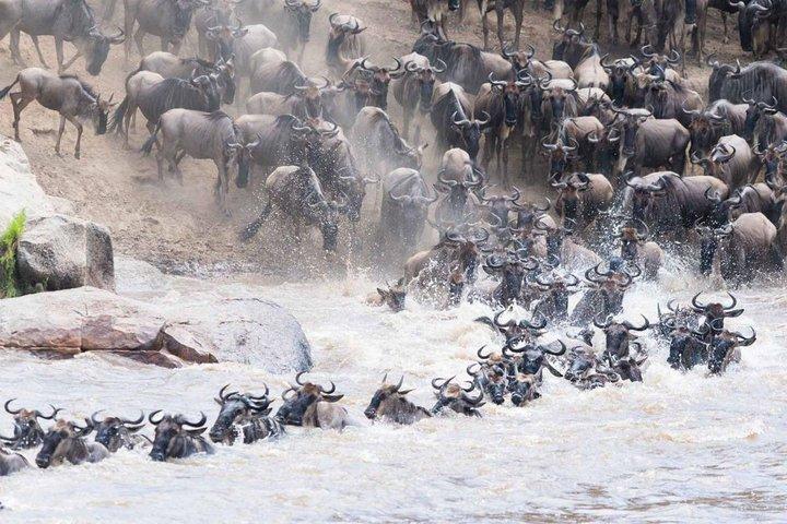 3 days Ngorongoro-Lake Manyara