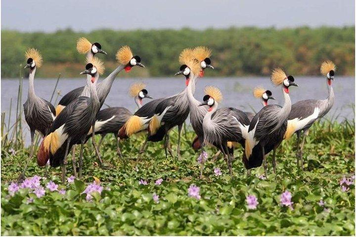 3 days Ngorongoro-Lake Manyara