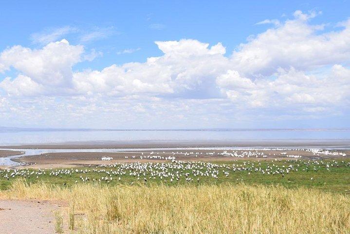 3 days Ngorongoro-Lake Manyara