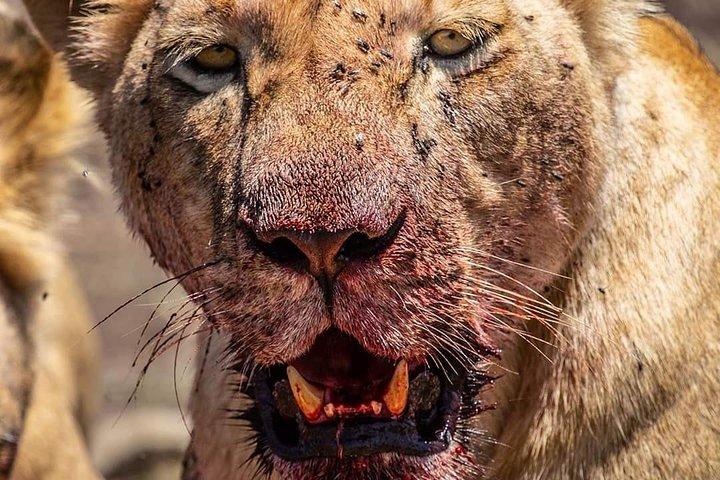 3 days Ngorongoro-Lake Manyara
