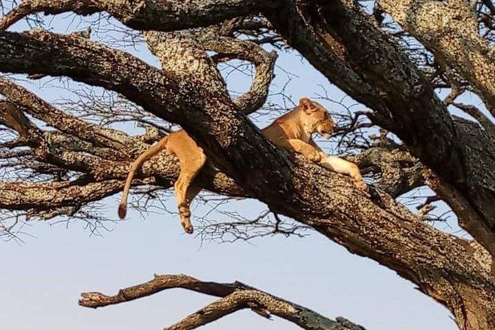 3 days Ngorongoro-Lake Manyara
