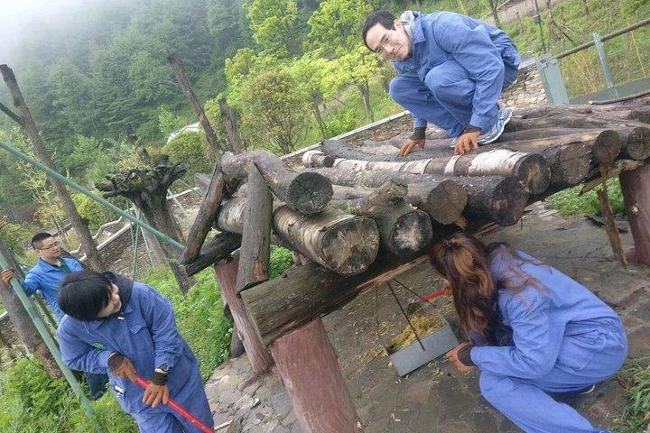 1-Day Dujiangyan Self-Guided Tour: Panda Volunteer and Water Irrigation System