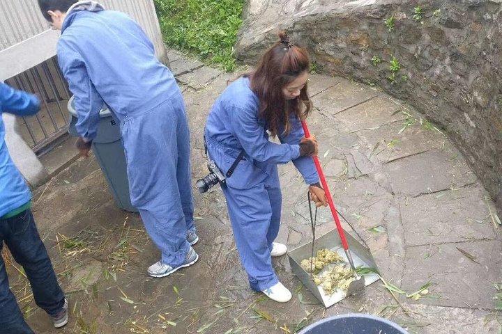 1-Day Dujiangyan Self-Guided Tour: Panda Volunteer and Water Irrigation System
