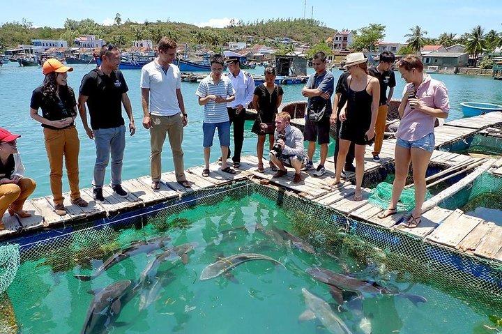 Cham Island Snorkeling Private Tour (Only Snorkeling & Beach)