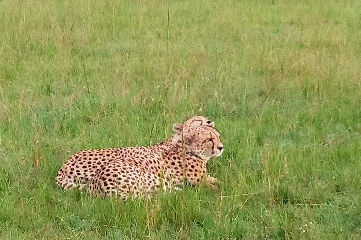 3-day Amboseli National Park Safari with Private Lodge Stay