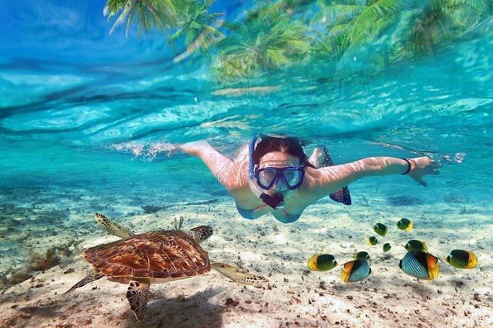 Koh Samui Island Tour by Boat
