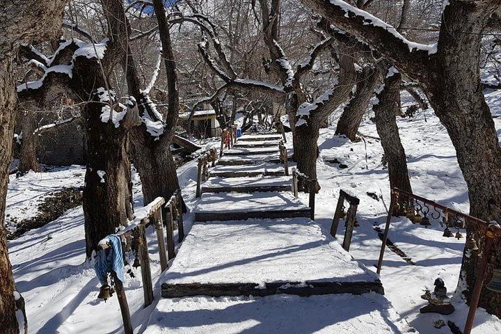 2 Days Pilgrimage Muktinath Overland Bus Trip From Pokhara Nepal