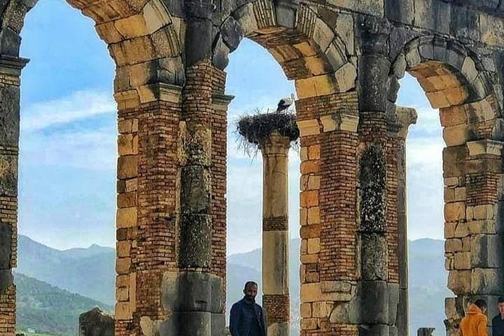 Day Trip To : Volubilis / Moulay Idriss / Mekness