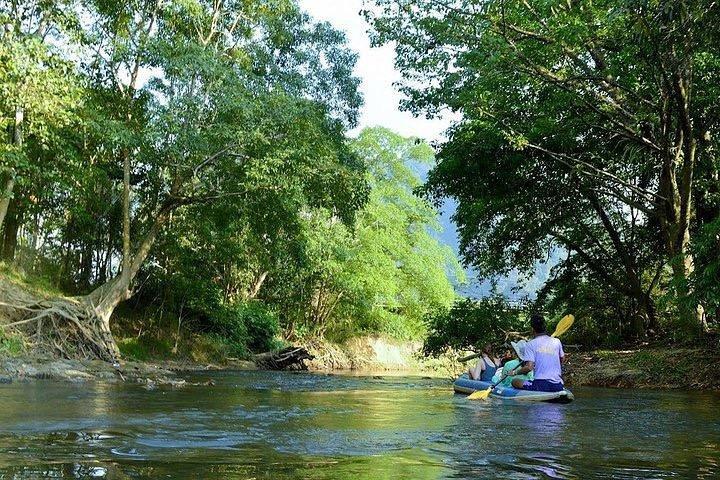 Khao Sok National Park Jungle Safari Full Day Tour from Phuket