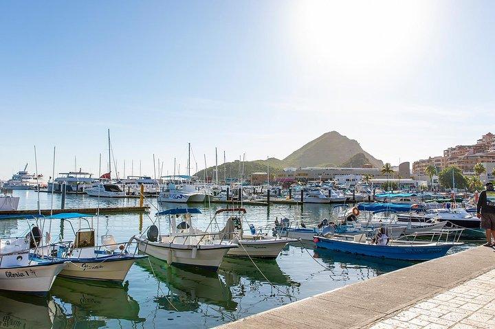 Cabo San Lucas City Tour
