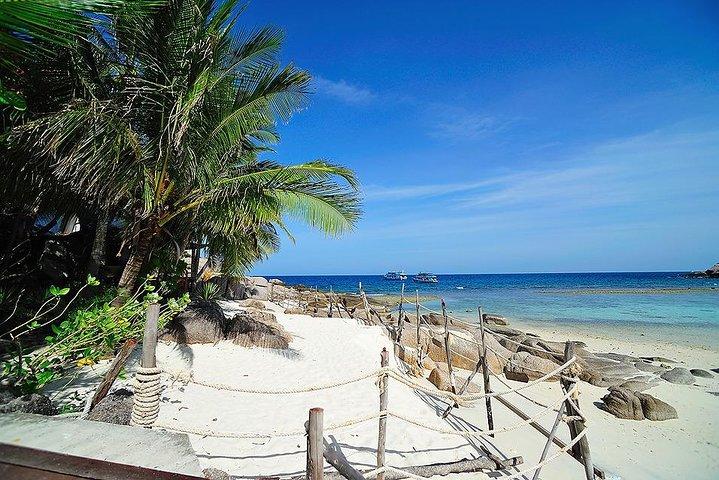 Koh Tao & Koh Nangyuan by Speed Boat (Snorkeling trip from Koh Samui)