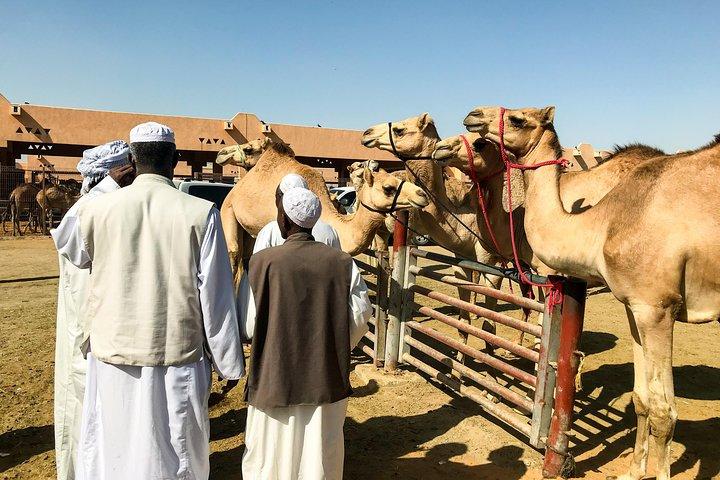 Al Ain Oasis Tour