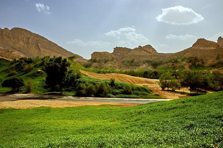 Al Ain Oasis Tour