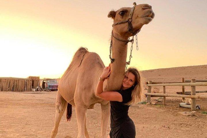 Camel ride at sunset in Agafay desert