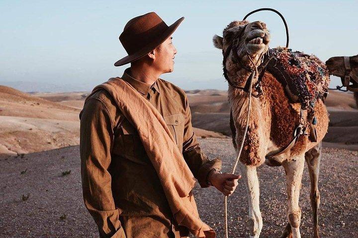 Camel ride at sunset in Agafay desert