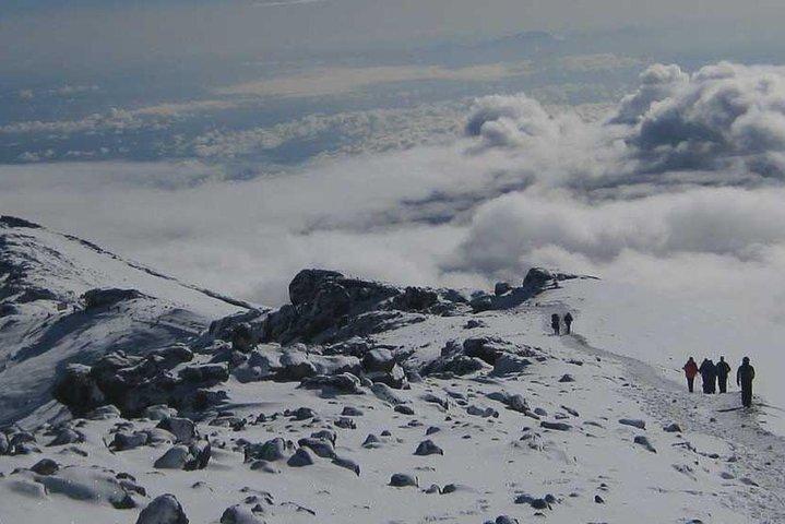 Mt Kilimanjaro Trek, 6 Days - Umbwe Route