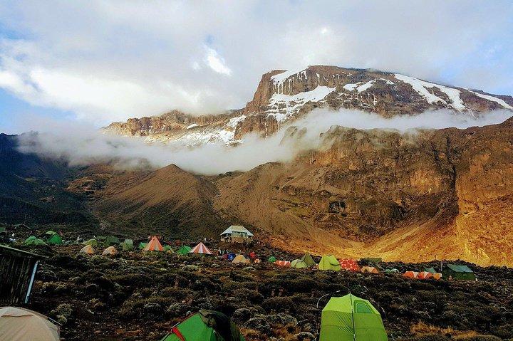 Mt Kilimanjaro Trek, 6 Days - Umbwe Route