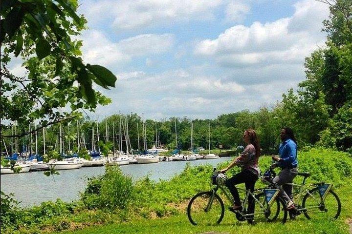 Old Town Alexandria to Mount Vernon Bike Rentals