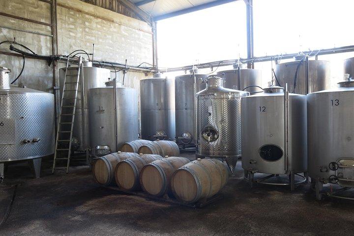 Troodos Mountains Vino Venture: All Inclusive Full Day Wine Tour