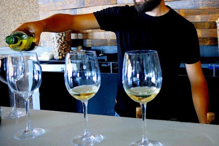 Troodos Mountains Vino Venture: All Inclusive Full Day Wine Tour