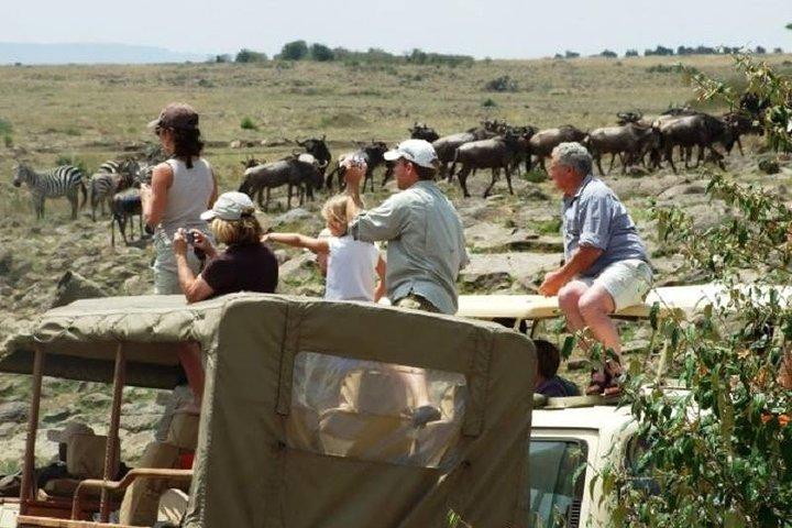 3 Days Maasai Mara safari