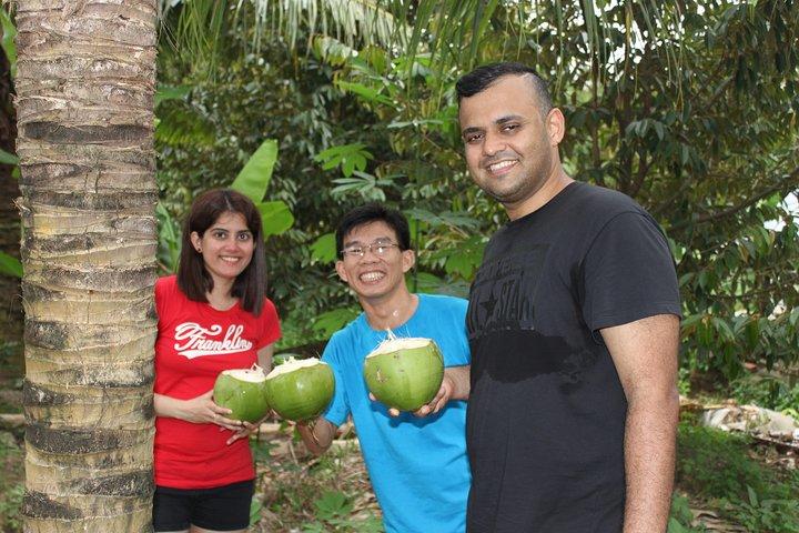 Discover Cu Chi Tunnels and Mekong Delta in 1 day