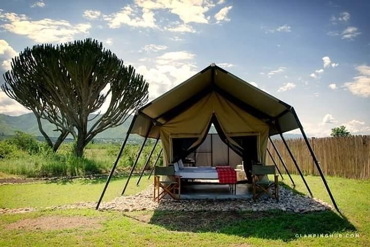 Experience A Taste of Local Life in Luxury Safari