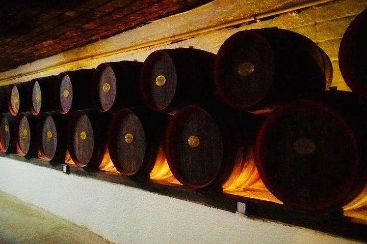 Cricova underground Winery - with wine tasting