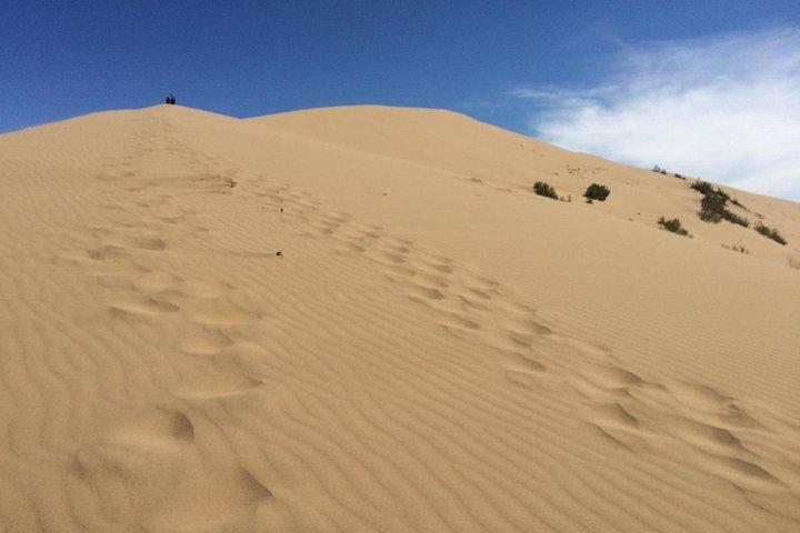 Altyn Emel. Singing dune. 1 day tour