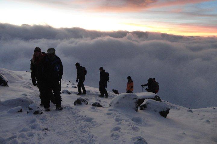 Mount Kilimanjaro 8-Days; Lemosho Route
