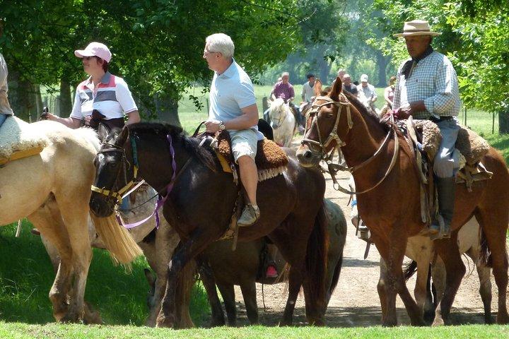 Gaucho Day with Estancia & Areco town