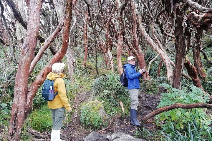 Cajas National Park Hiking Tour from Cuenca