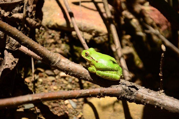 Private Palca Canyon Tour from La Paz with optional stop at Valle de las Animas