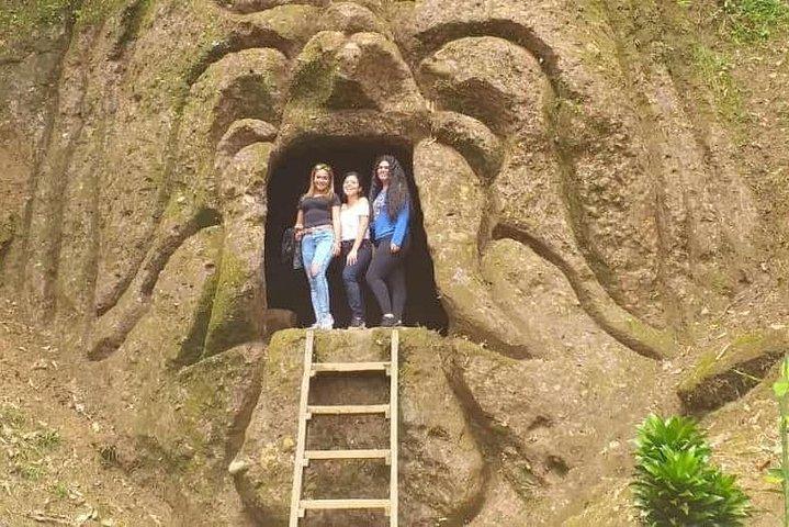 Jungle Tours - Amazon | Full Day | Various activities