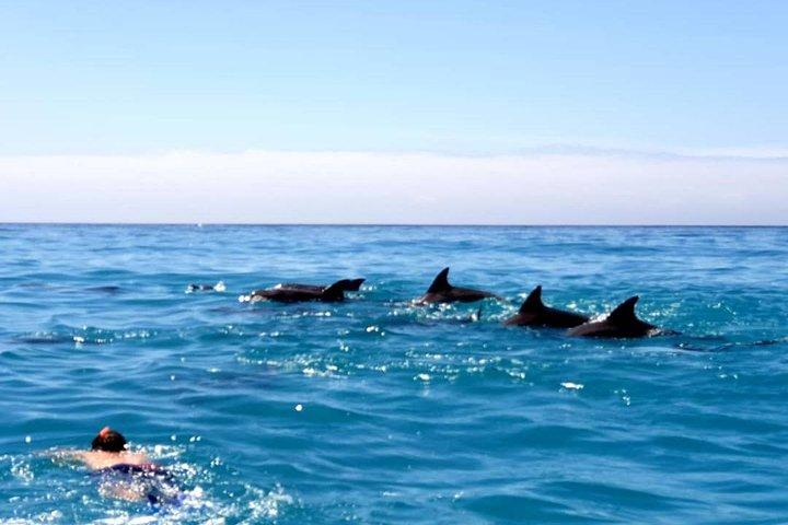 Snorkeling at Mnemba Atoll