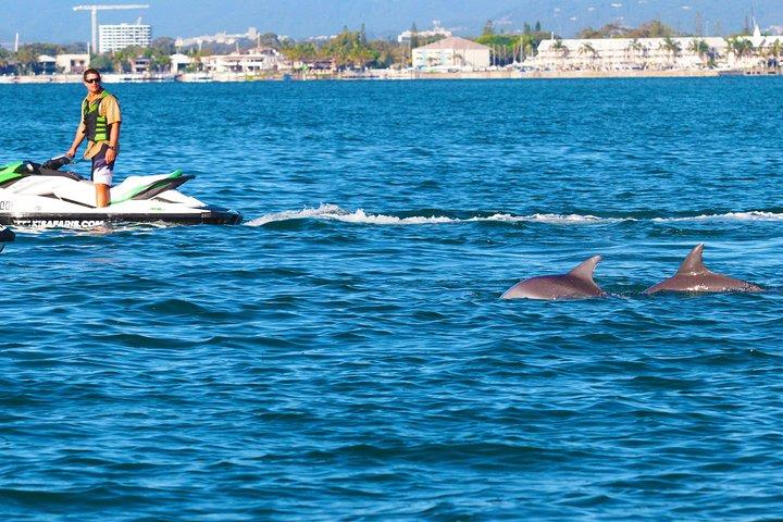 1hr Jet Ski Safari