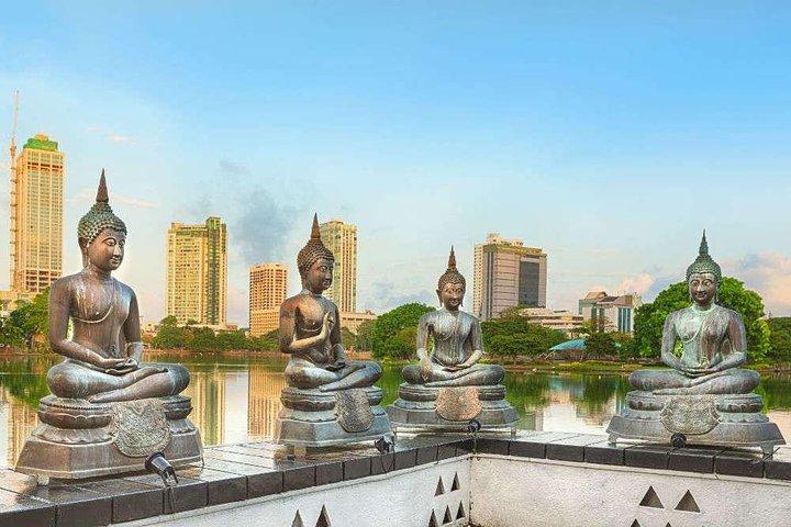 Colombo Day Trip From Hotels or Cruise Port