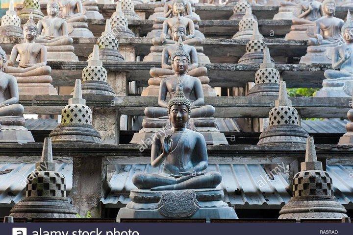 Colombo Day Trip From Hotels or Cruise Port