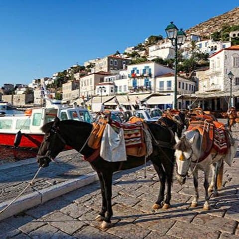 Private Excursion to Hydra Island