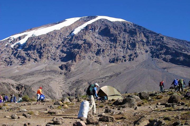 Mt. Kilimanjaro Trekking; Northern Circuit Route - 9 Days